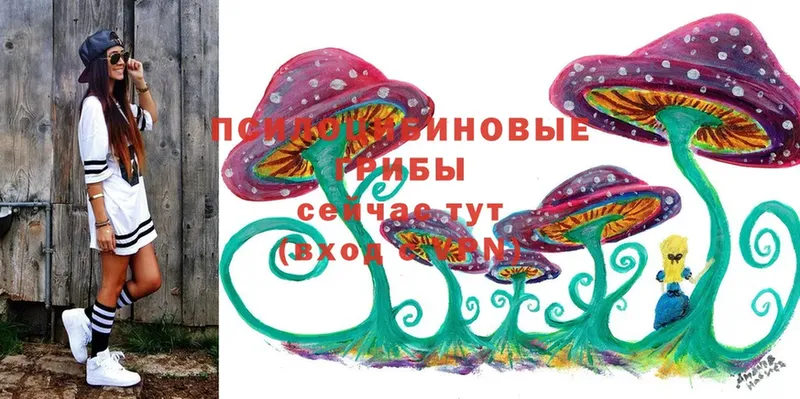 Псилоцибиновые грибы Cubensis  Жиздра 